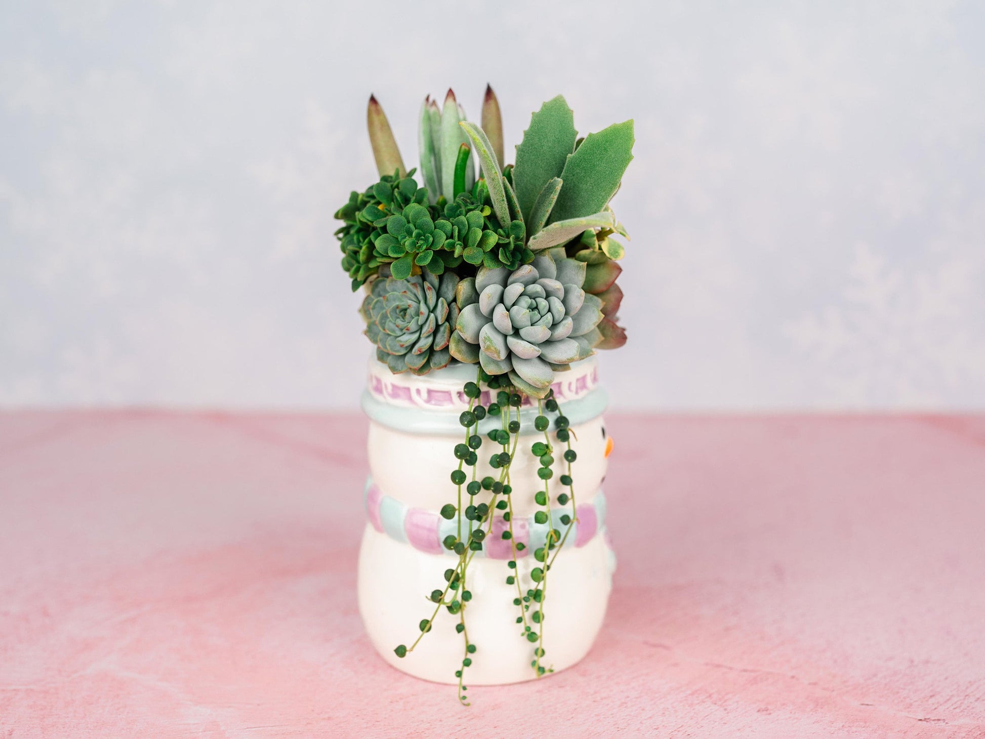 Snowman Mug Succulent Holiday Arrangement Bursting with Living Succulents for Christmas Gifts and Winter Home Decor