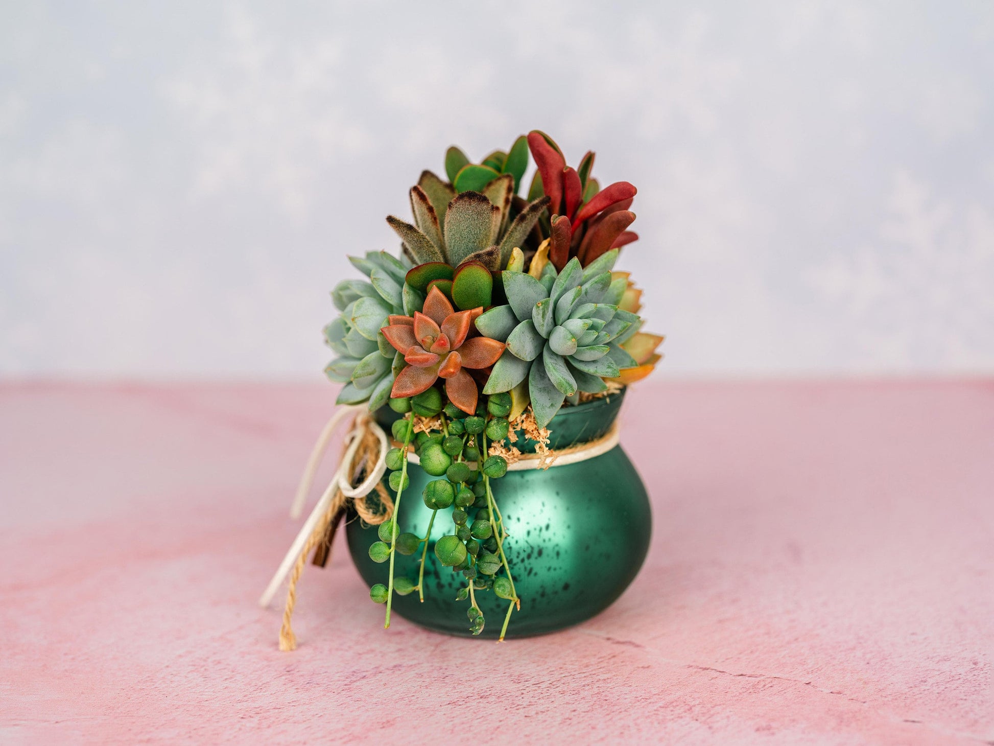 Green Mercury Glass Christmas Succulent Gift Arrangement with Rustic Wood Star- Small Gift or Holiday Decor Centerpiece