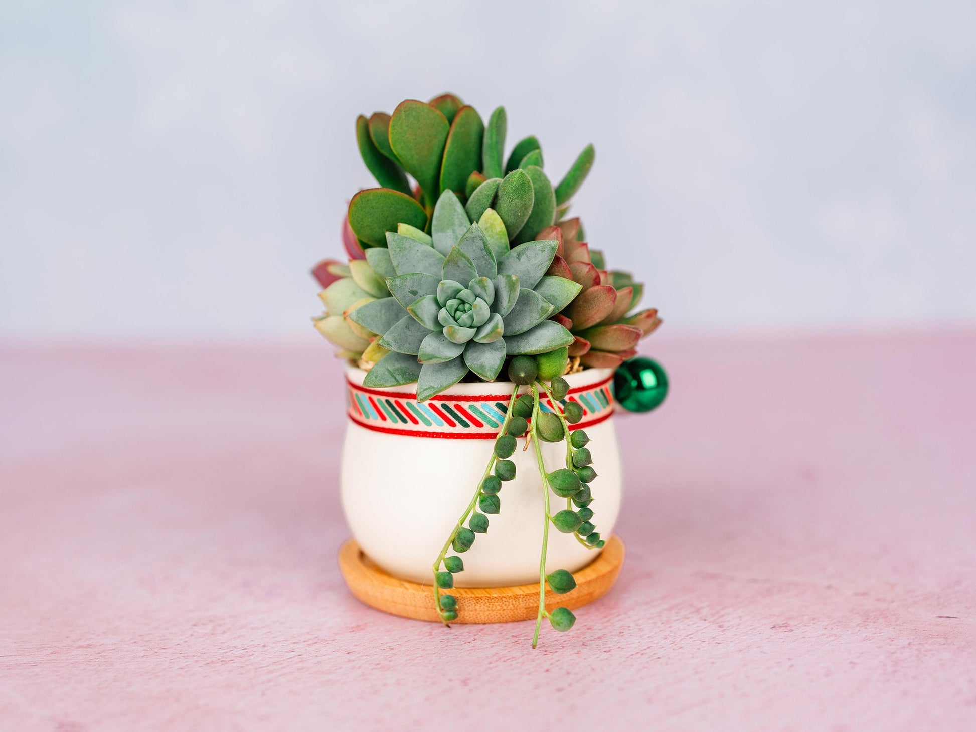 Mini Holiday Succulent Arrangement with Christmas Decor- Small Festive Client Gift, Party Favor, House Warming Gift for Plant Lovers