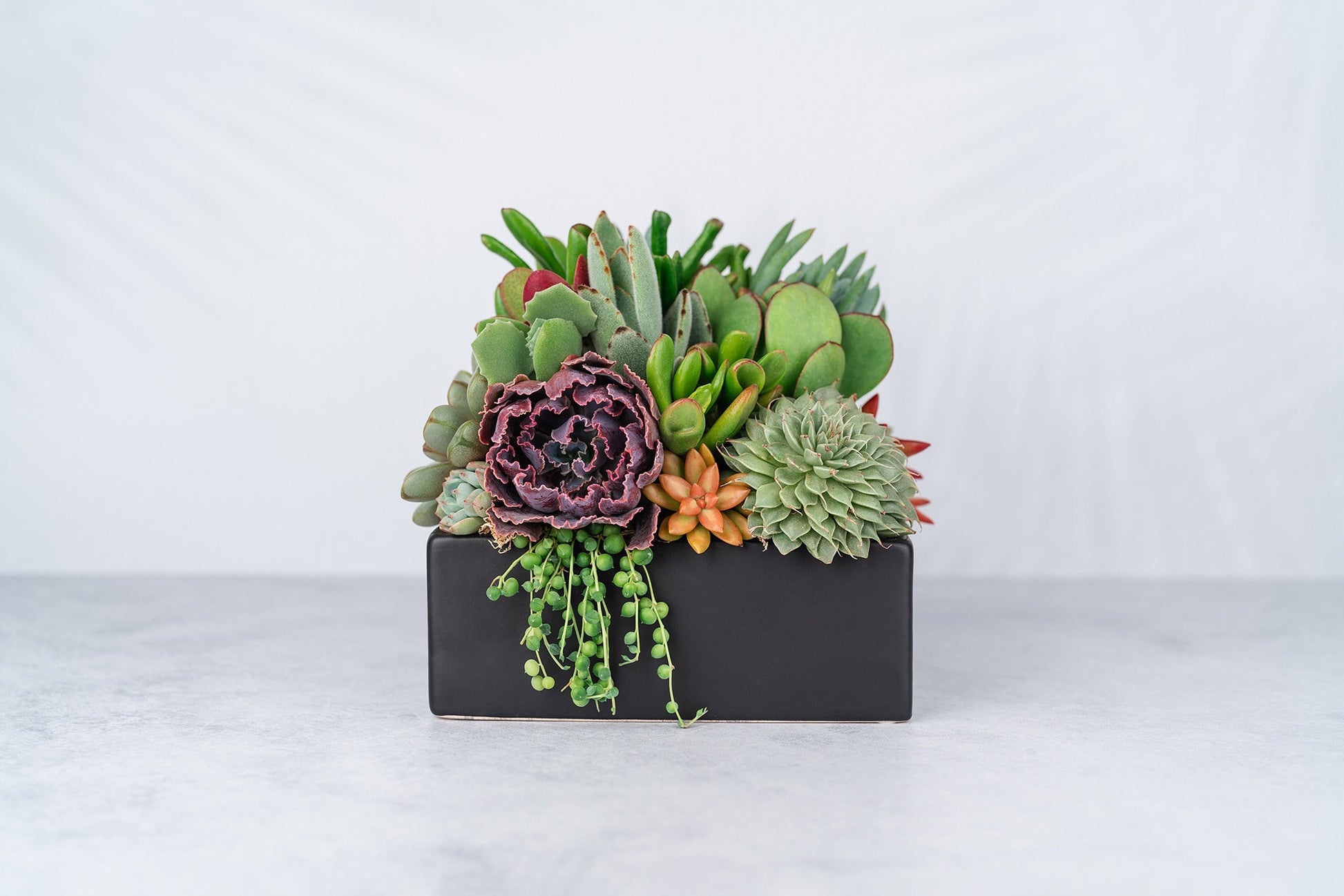 Black Boat Succulent Arrangement Planter: Modern Living Succulent Gift, Centerpiece for Weddings & Events, Housewarming Gift