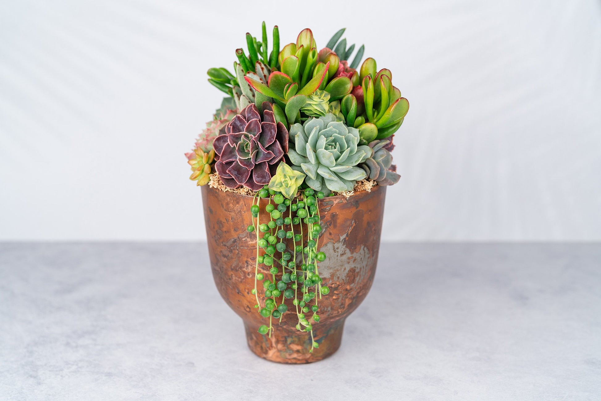 succulents in copper pots Copper Metal Compote Succulent Arrangement Planter