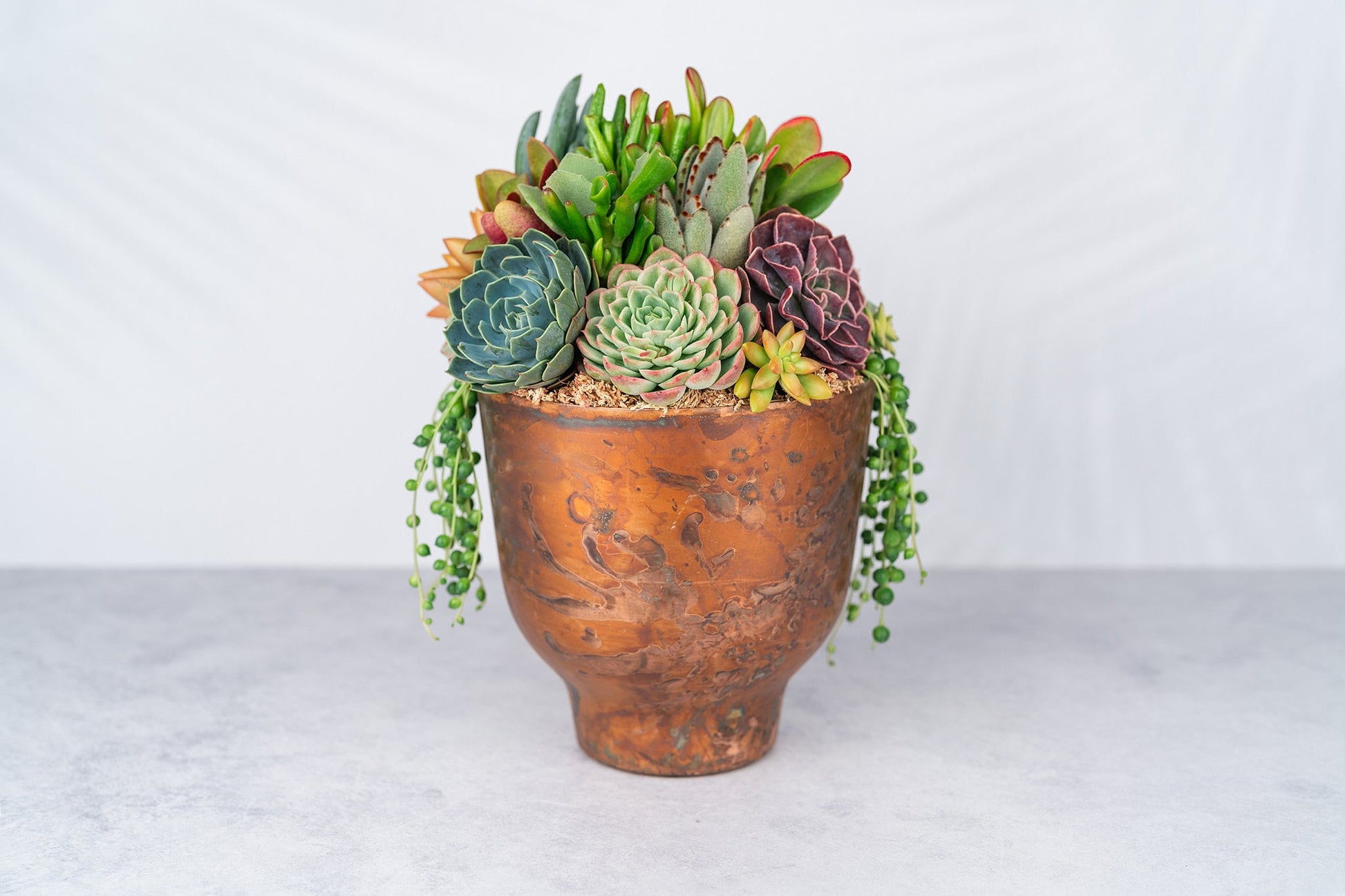 copper succulent planter Copper Metal Compote Succulent Arrangement Planter