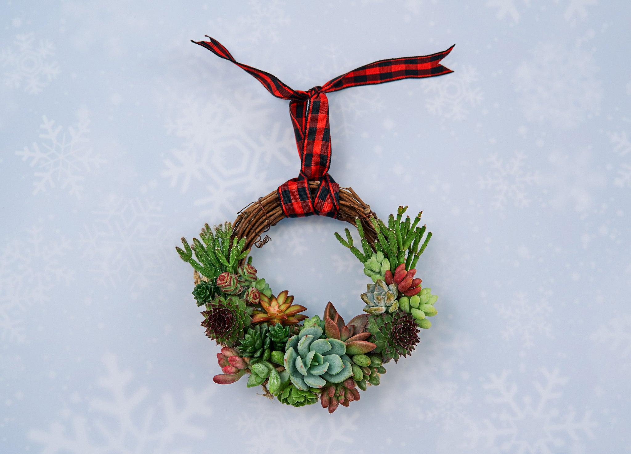 Mini Succulent Wreath Ornament